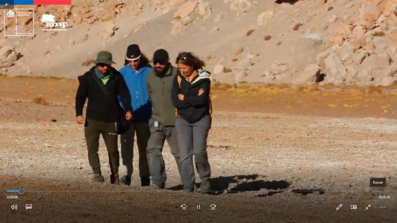 Parque Nacional Llullaillaco, trabajo de investigación arqueológica junto a #CONAF