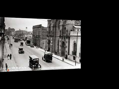 JUAN ARVIZU, VARITA DE NARDO