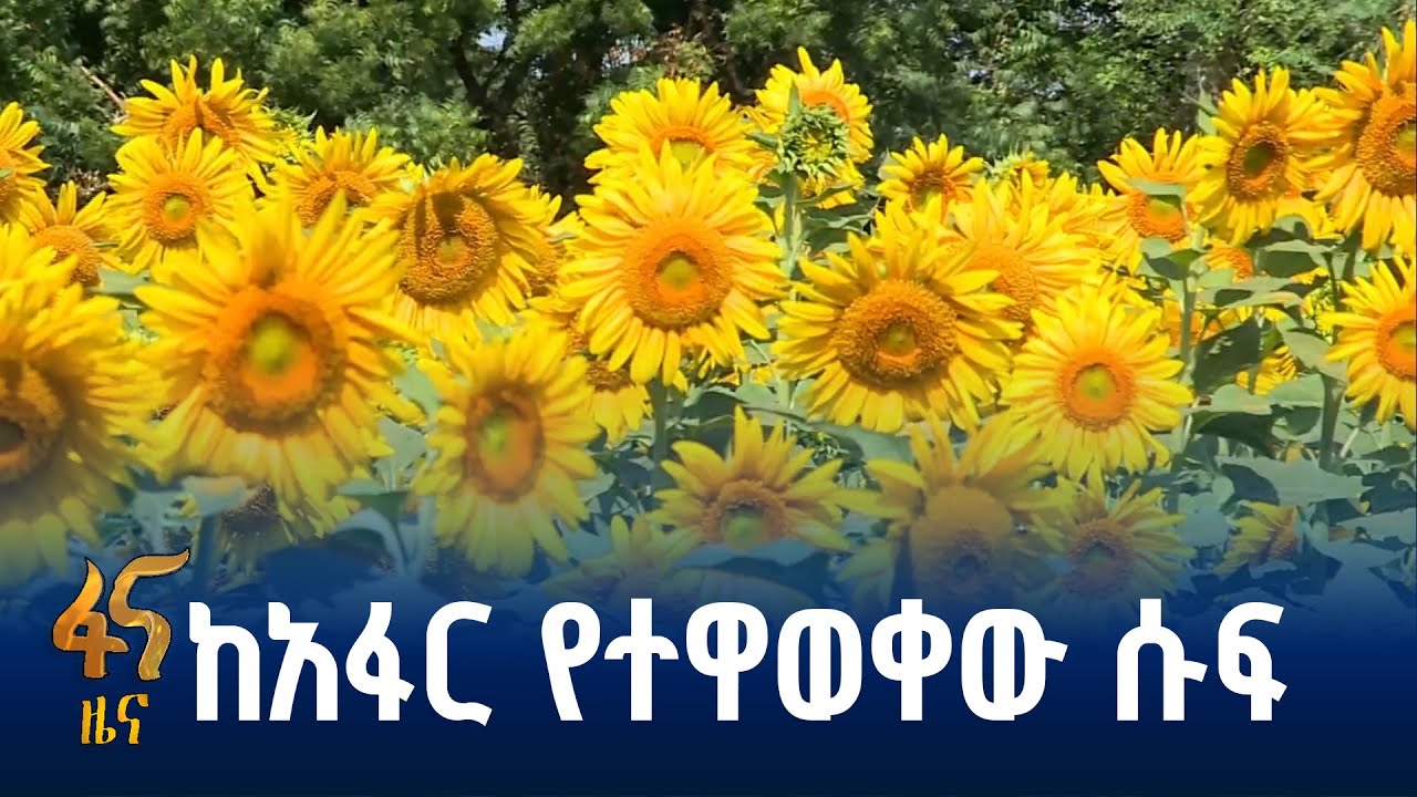 በክልሉ የተሞከረው ምርት