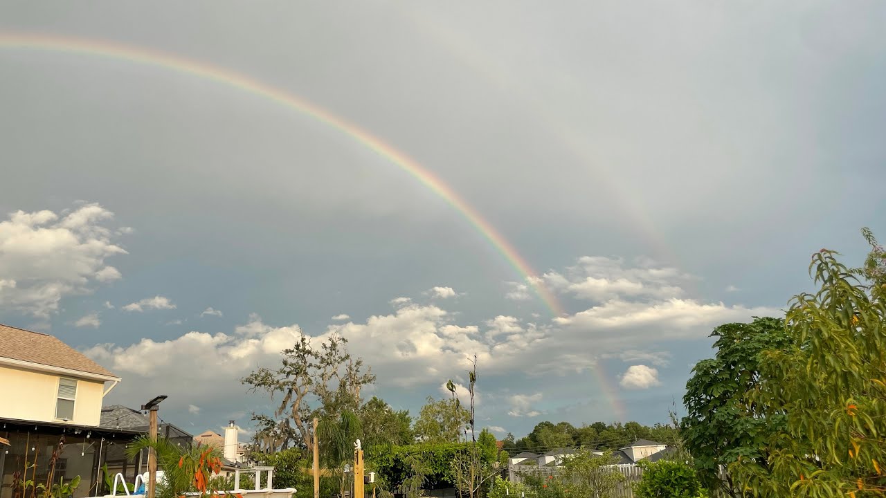 I asked God for a farm, this is what he said to me!😬What God showed me that is coming to the land