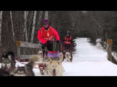 Jericho Sled Dog Race