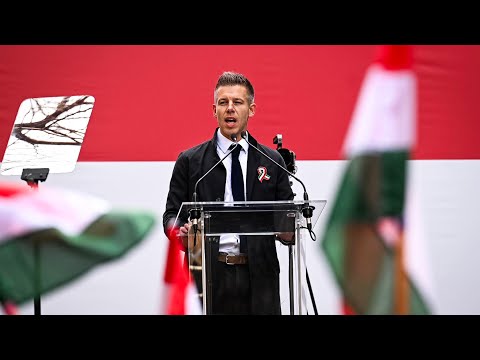 The Mészi - Talpra Magyar 2024 🇭🇺