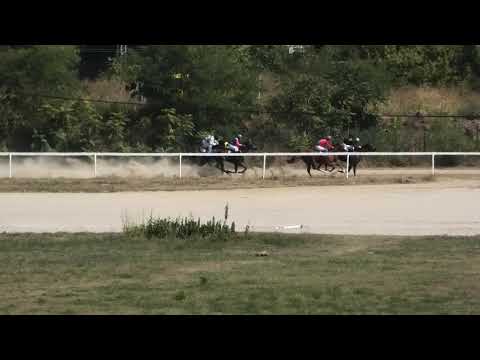 Trka "Dalmina D" 22.09.2019 Rambo Trlić - Dragan Lazarević