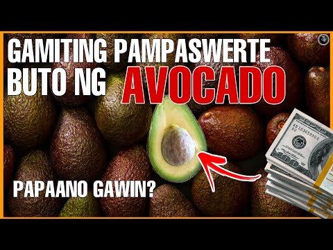 MAGKAKAPERA KA NA GAMIT ANG BUTO NG AVOCADO | PAANO GAWING PAMPASWERTE | Bhes Tv