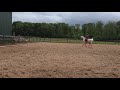 Reitvideo 3 24 05 2020