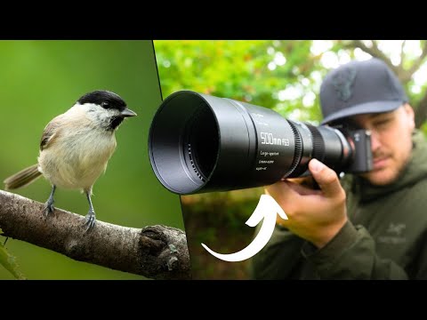 Video thumbnail for TTartisan 500 mm f/6.3 review 2
