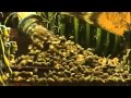 A Bug S Life Then They ALL Might Stand Up To Us YouTube YouTube