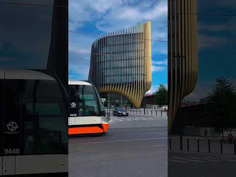 Prague's Lively Pedestrian Zone। stunning buildings