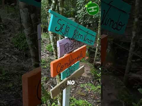 Caminhada em Novo Cabrais #riograndedosul