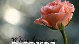 Where Is My Rose - D-Pryde