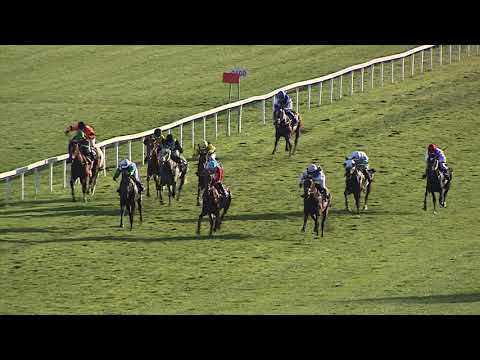 7. dostih - Cena Střední školy dostihového sportu - dostihy Chuchle Arena Praha 24. 10. 2021