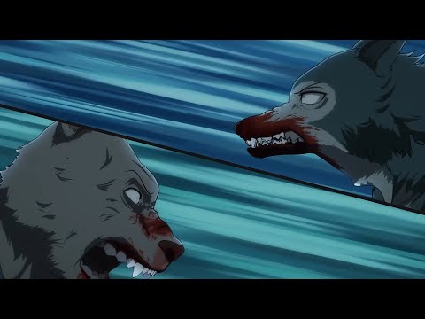 Legosi vs Riz (BEASTARS Season 2 ビースターズ Final Battle)