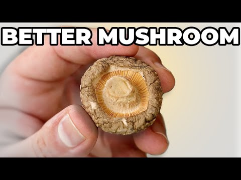 STOP Buying FRESH Mushrooms! You'll Thank you!!