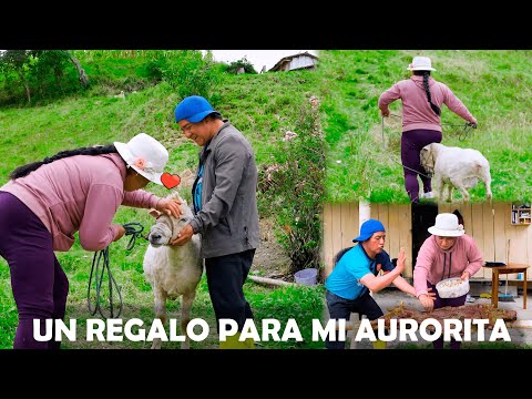 I bought a sheep for my Aurorita | Don Lucho