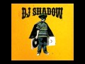 DJ shadow   Organ Donor