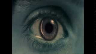 Infected Mushroom  -  Poquito Mas    ( video )