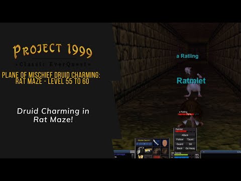 Everquest Project 1999 - Plane of Mischief: Druid Charming Level 55 to 60. Awesome XP!