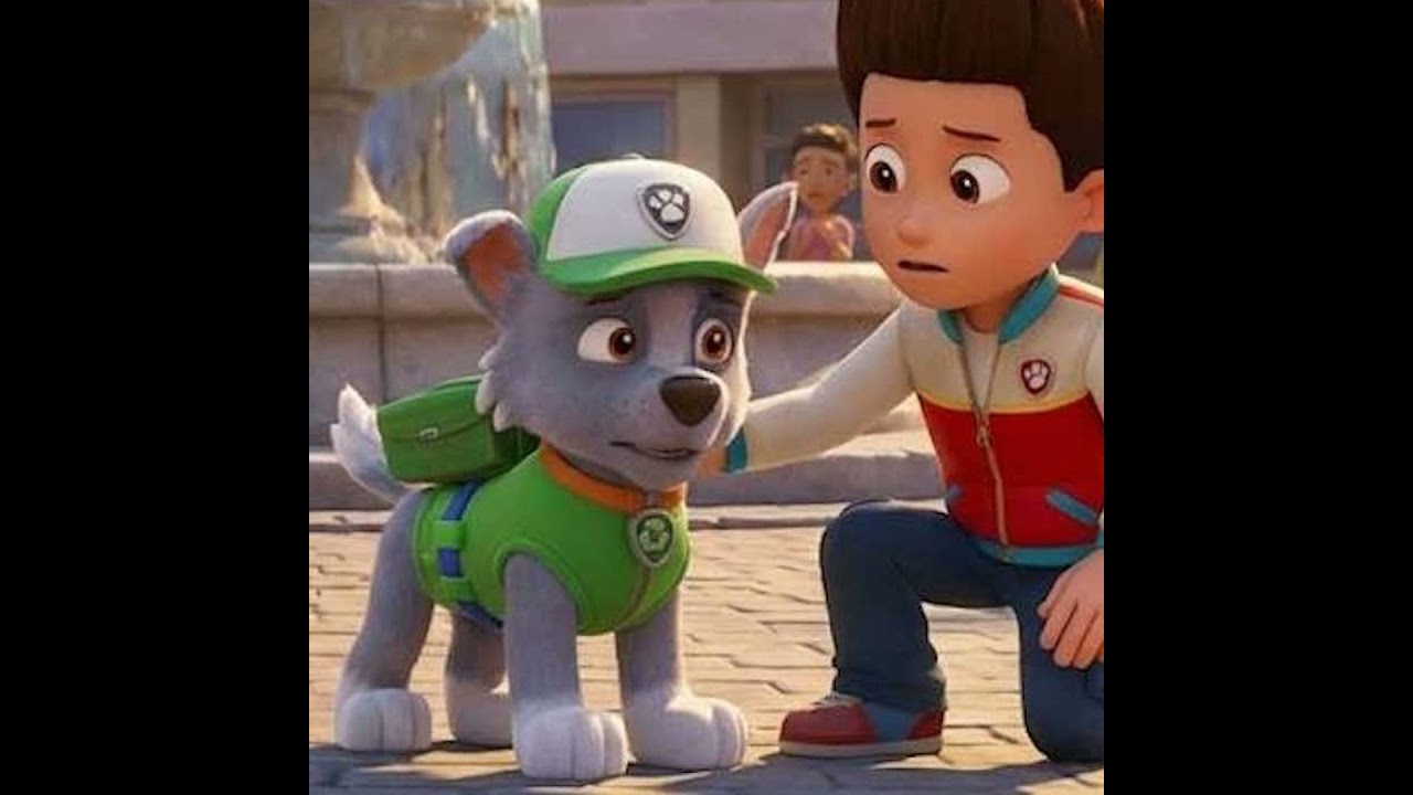 Rocky Patrulla Canina Aprender de los Errores