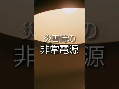 「可能性はありません」: どのタイプの電気自動車もすぐに避けるべきです