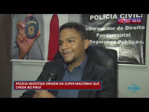 PoliÌcia investiga origem da super maconha que chega ao PiauiÌ (05 05 20)