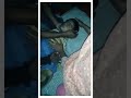 Kullu Nafsin Zaikatul Maut
