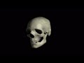 George Thorogood Bad To The Bone Drumless Reverb Slowed