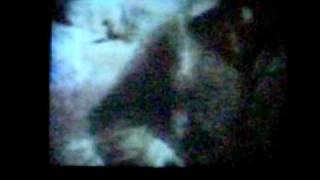 Neko case at LA&#39;s Greek Theater June 12, 2009 sings Vengeance is Sleeping