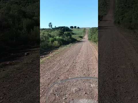 Camino entre pueblo Quintana y pueblo Pepe Núñez , departamento de Salto 🇺🇾 . Videitos .