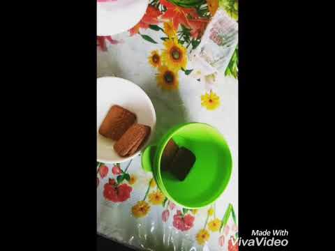 Chocolate biscuit with vanilla ice-cream