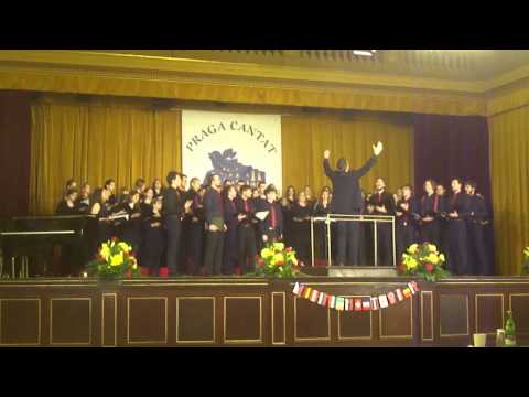 Concordia discors - Nevijska kolenda