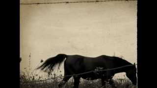 The Be Good Tanyas - Horses (Beat Syndrome Remix)