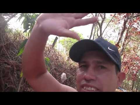 SANTO CRUZEIRO- PARAISOPOLIS MG ( FOMOS LA CONHECER)