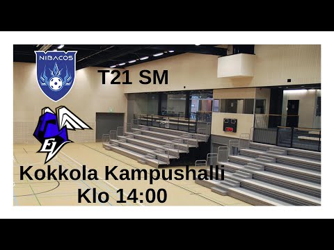 T21 SM : Nibacos - EräViikingit