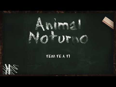 Simex-ANIMAL NOTURNO
