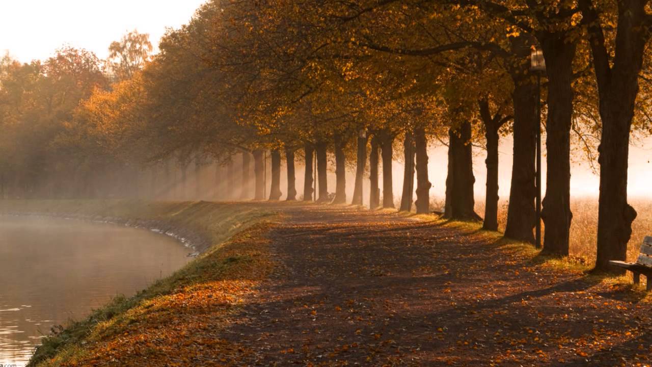 Mere Dil Jhum Jhum Lyrics  | Rani Aur Jaani | Anil Dhawan, Aruna Irani | Kishore Kumar | Satyam