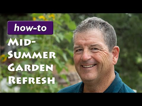 Mid-Summer Refresh for Your Colorado Garden