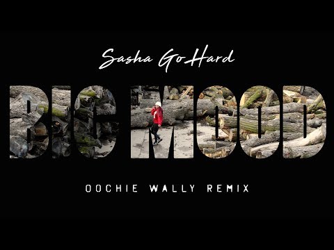 Sasha Go Hard - Big Mood (Oochie Wally Remix) (Music Video)