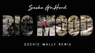 Sasha Go Hard - Big Mood (Oochie Wally Remix) (Music Video)