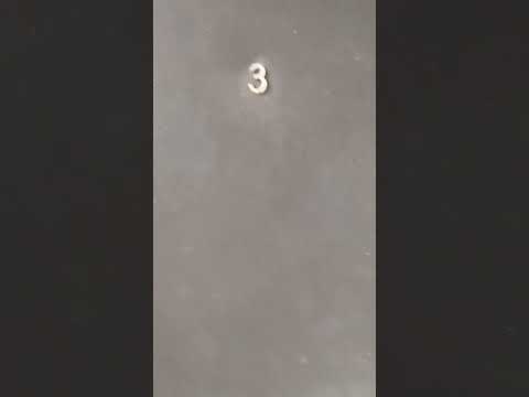 Video de Los Pinares de Belgrano