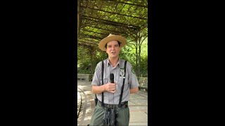 Meet the Urban Park Rangers of Central Park