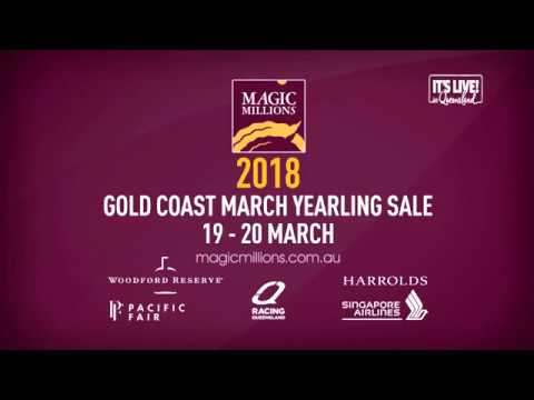 2018 Magic Millions GC March Yearling Sale - 30 second preview
