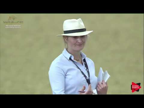 N.83 SRDAR AL SHAQAB - 2019 Qatar Nat. Peninsula show - Yearling Colts (Class 4A) .mp4