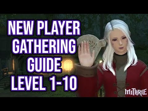 FFXIV 2.56 0604 New Player Gathering Guide Level 1 to 10