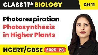 Photorespiration - Photosynthesis in Higher Plants | Class 11 Biology Chapter 11 | CBSE 2024-25