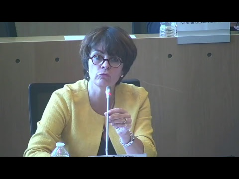 Assemblée plénière du 15 octobre 2018