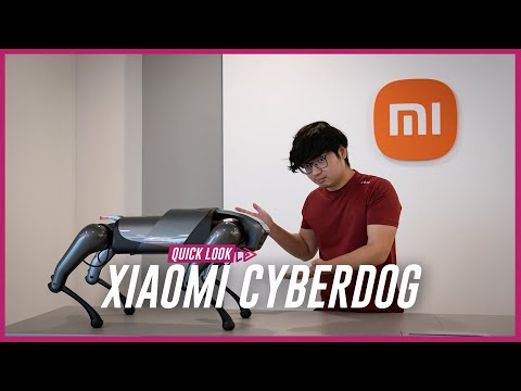 The Best (Robot) Doggo! | Xiaomi CyberDog
