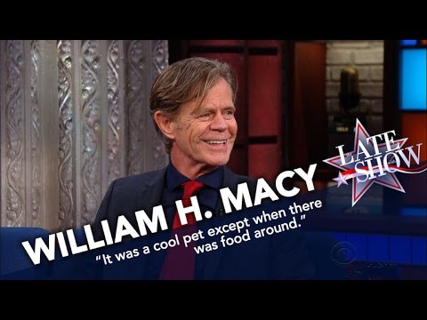 , title : 'William H. Macy’s Only Scar Comes From A Raccoon Bite'