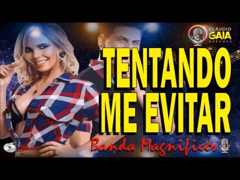 TENTANDO ME EVITAR = BANDA MAGNÍFICOS - KARAOKÊ