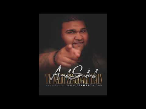 Anil Mr Duniya (2017)