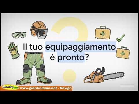 Miniatura Video